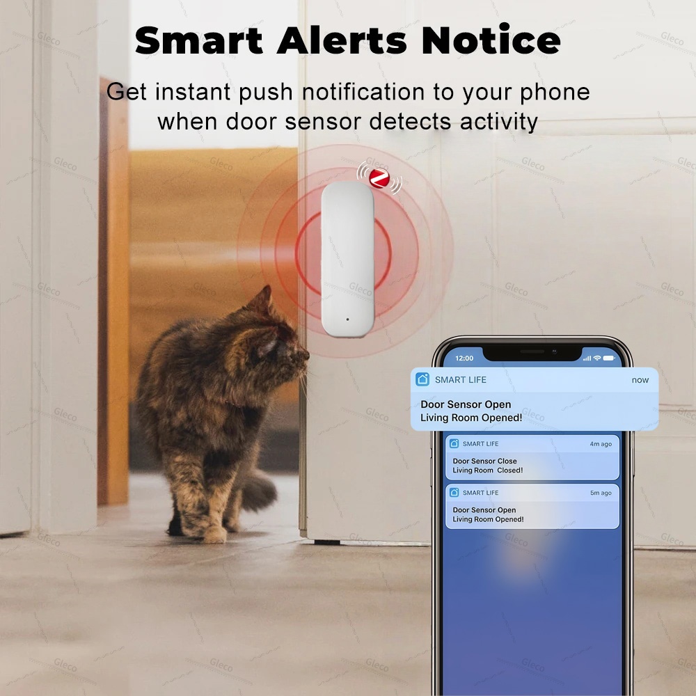 Tuya Zigbee Door Window Sensor - Wireless Door Sensor review and price